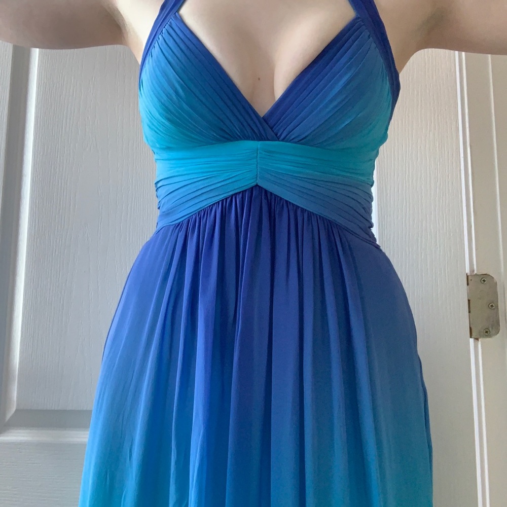 Breathtaking Blue Ombré BCBG Gown Size 2